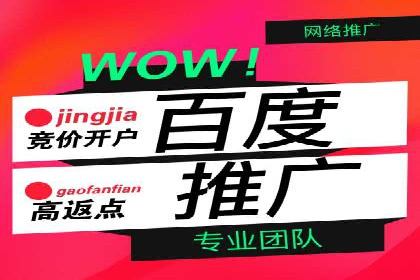 百度推广费用策略在竞争激烈市场的应用案例